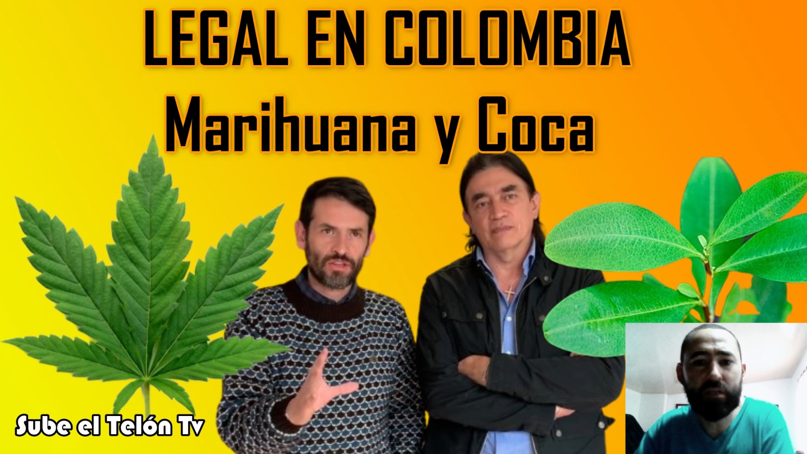 cannabis y coca legal para acabar con la guerra en colombia